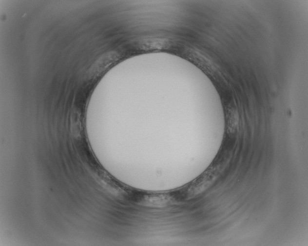 X0000076250414200610191654