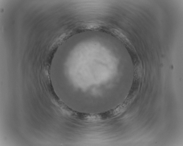 X0000076250415200610191654