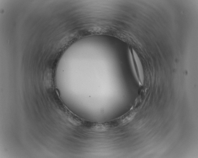 X0000076250416200610191654