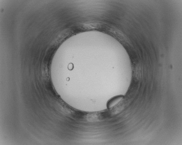 X0000076250418200610191654