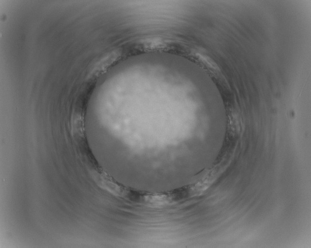 X0000076250419200610191653