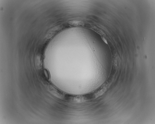 X0000076250420200610191653