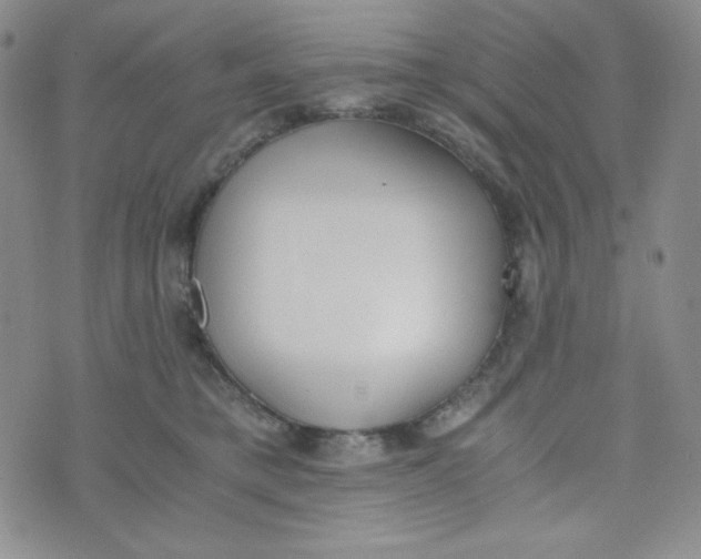 X0000076250421200610191653