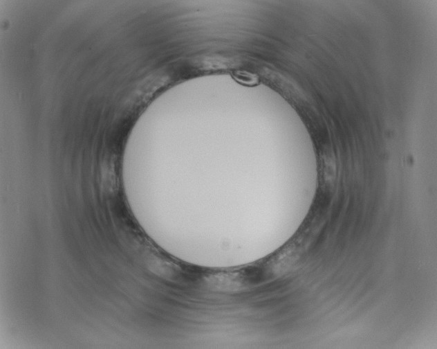 X0000076250422200610191653