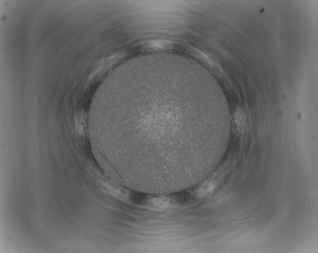 X0000076250423200610191653