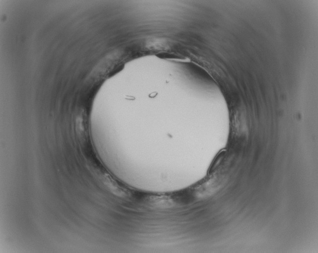 X0000076250424200610191653