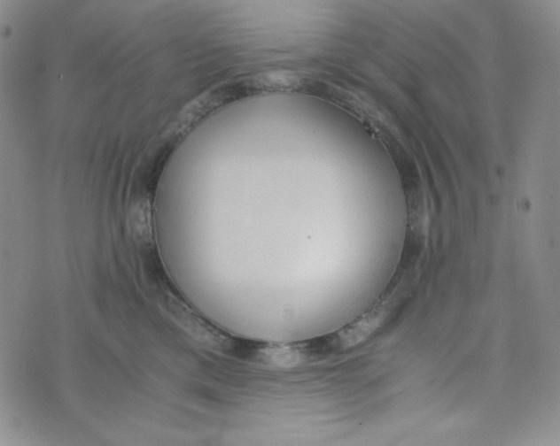 X0000076250425200610191653