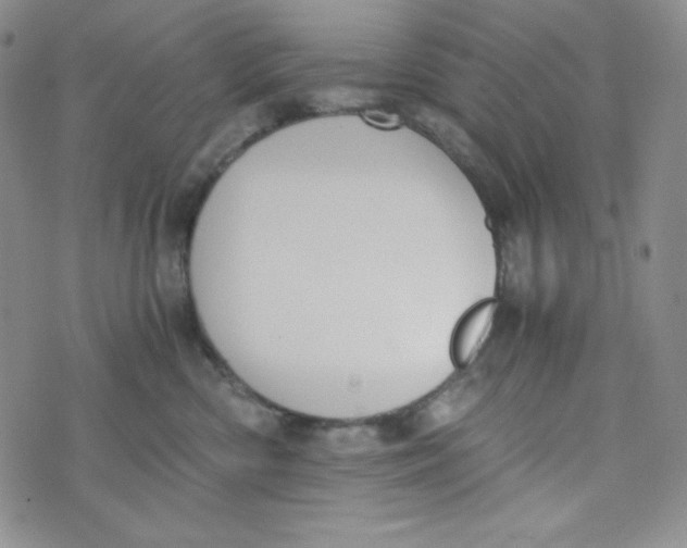 X0000076250426200610191653