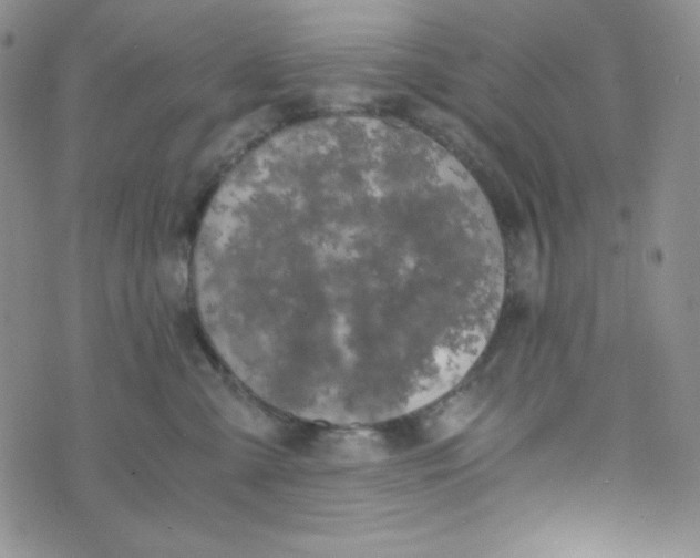 X0000076250427200610191653