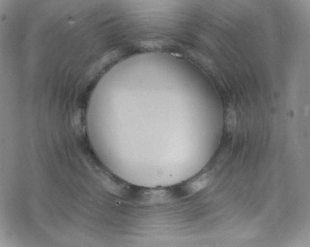 X0000076250428200610191653