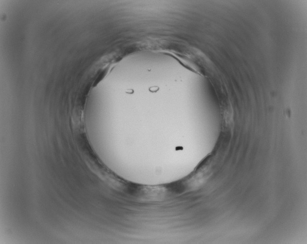 X0000076250429200610191653