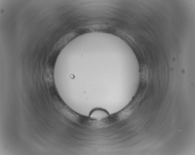 X0000076250430200610191653