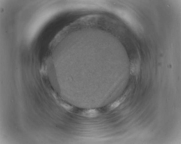 X0000076250431200610191653