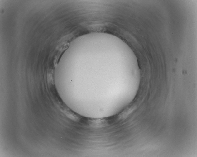 X0000076250432200610191653