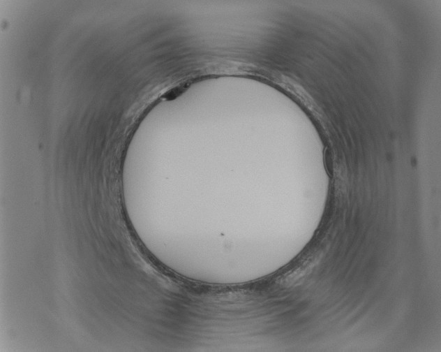 X0000076250433200610191652