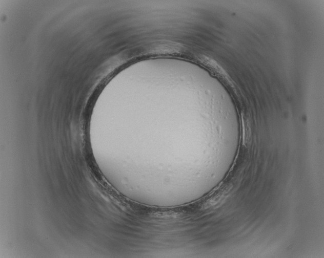 X0000076250435200610191653