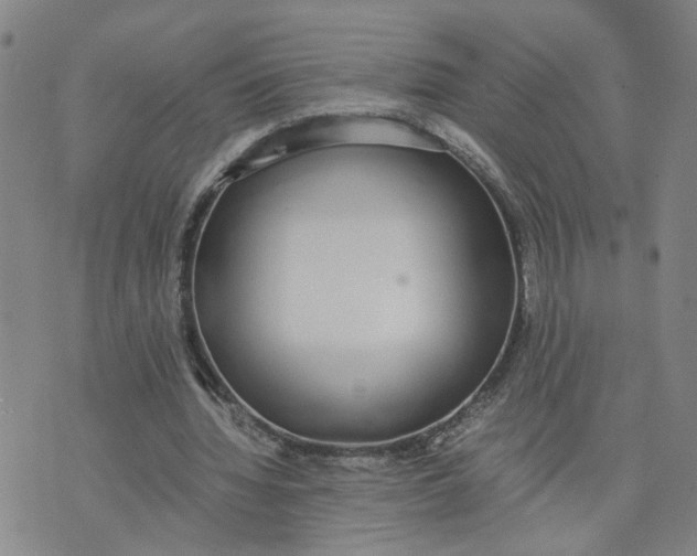 X0000076250436200610191653