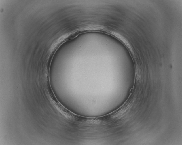 X0000076250437200610191653