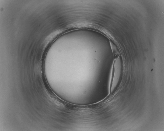 X0000076250438200610191653