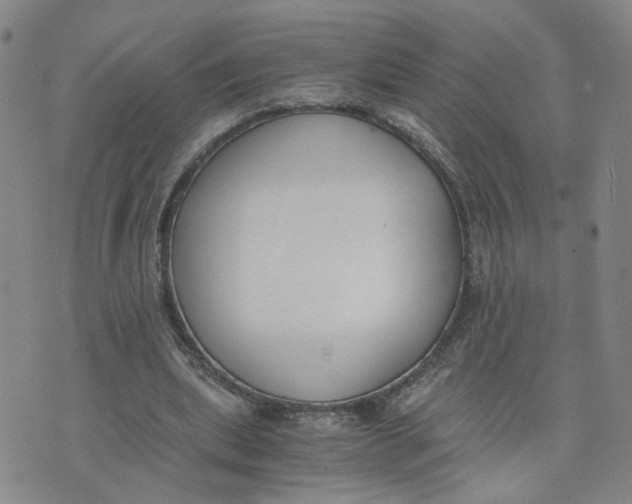 X0000076250439200610191653