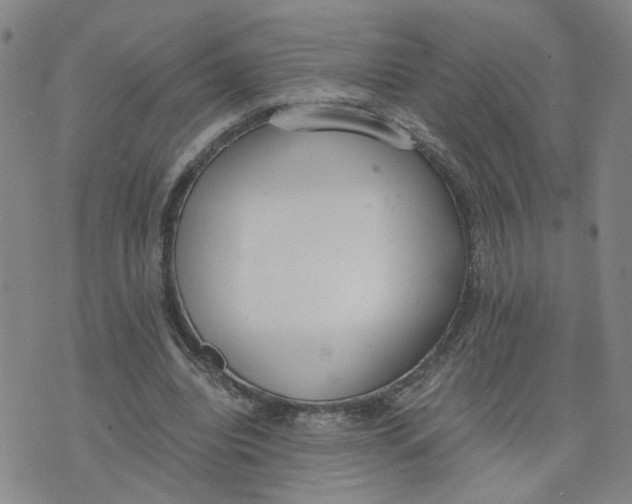 X0000076250440200610191653