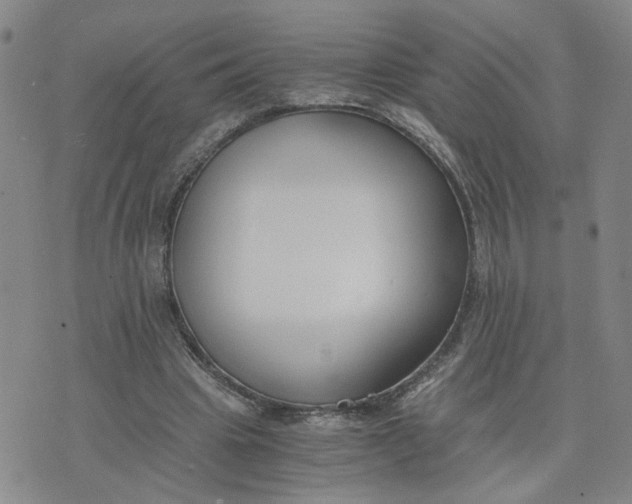 X0000076250441200610191653