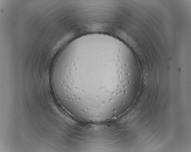 X0000076250442200610191653