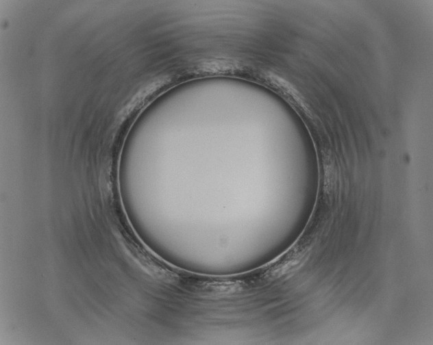 X0000076250443200610191653