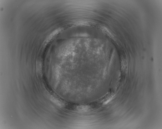 X0000076250444200610191653