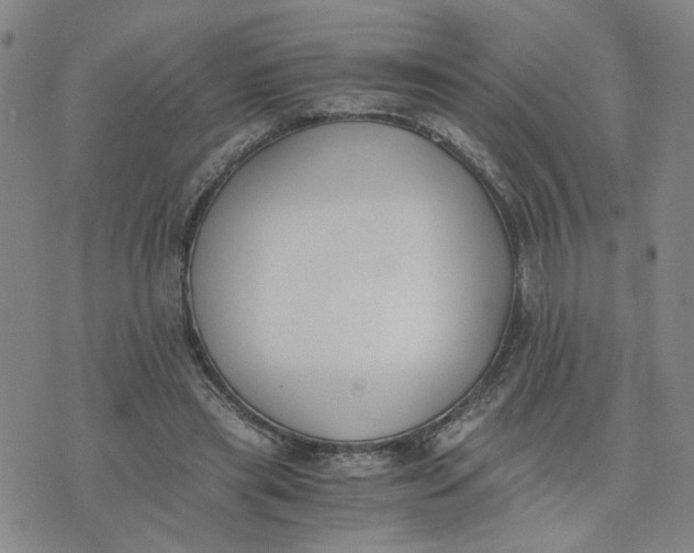 X0000076250445200610191653