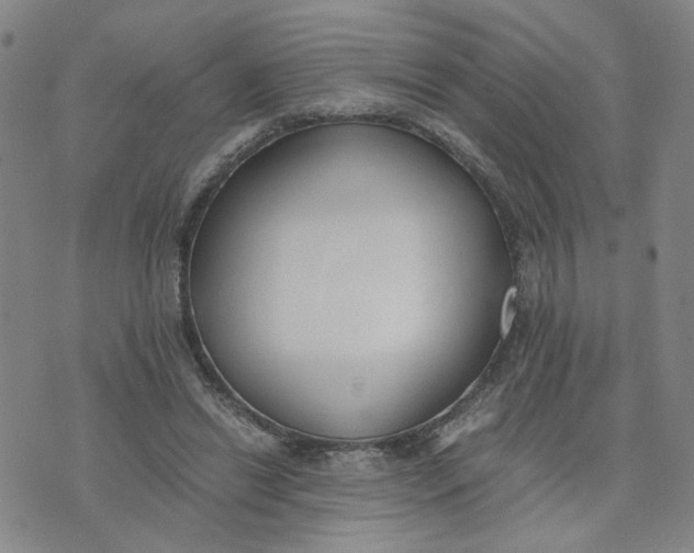 X0000076250446200610191653