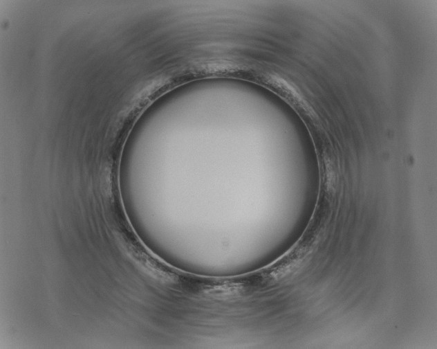 X0000076250447200610191653