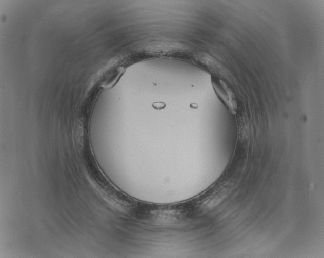 X0000076250448200610191653