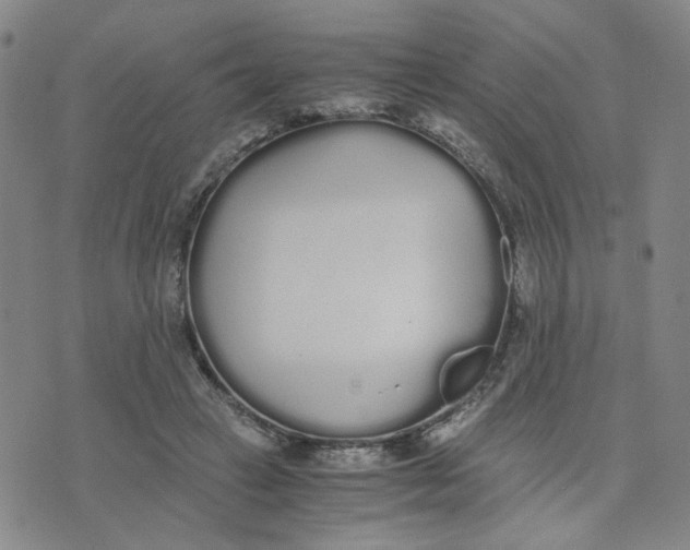 X0000076250449200610191653