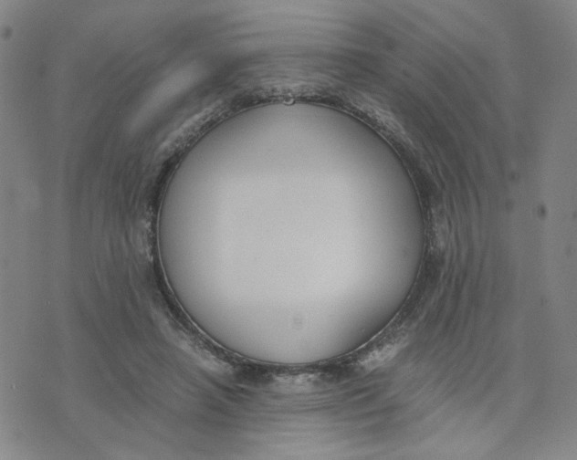 X0000076250450200610191653