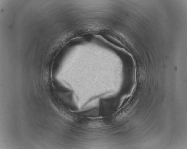 X0000076250451200610191653