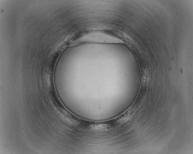 X0000076250452200610191653