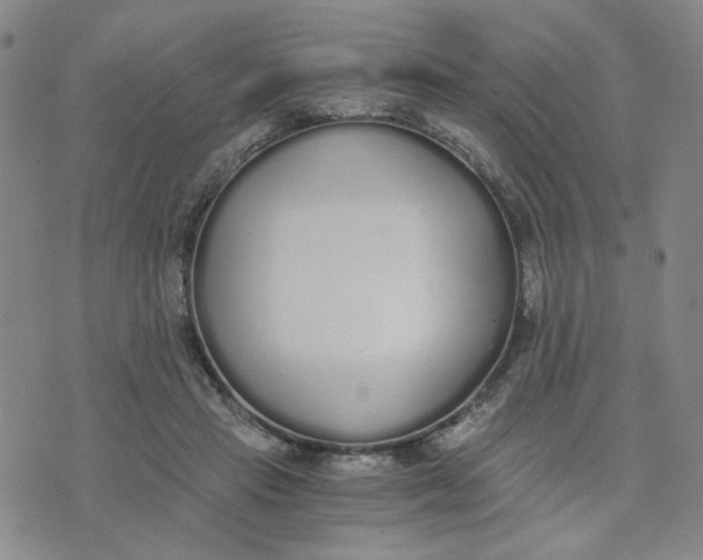 X0000076250453200610191653