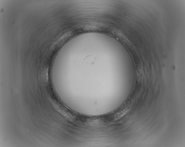 X0000076250454200610191653