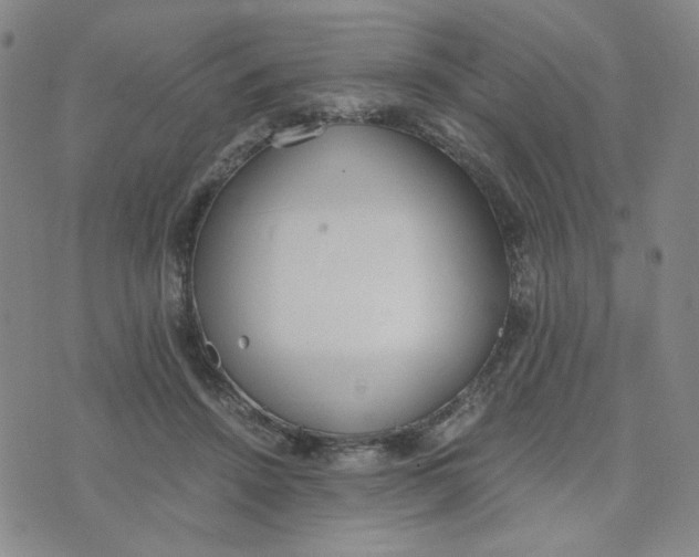 X0000076250456200610191653