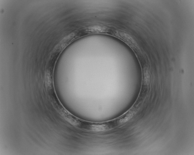 X0000076250457200610191653