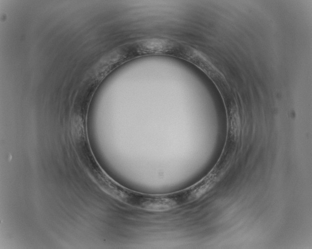 X0000076250459200610191653