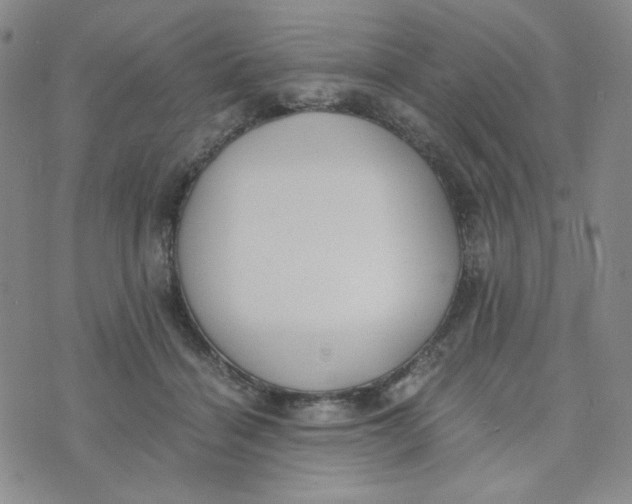 X0000076250460200610191653