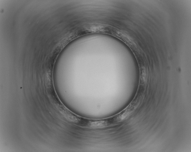 X0000076250461200610191653