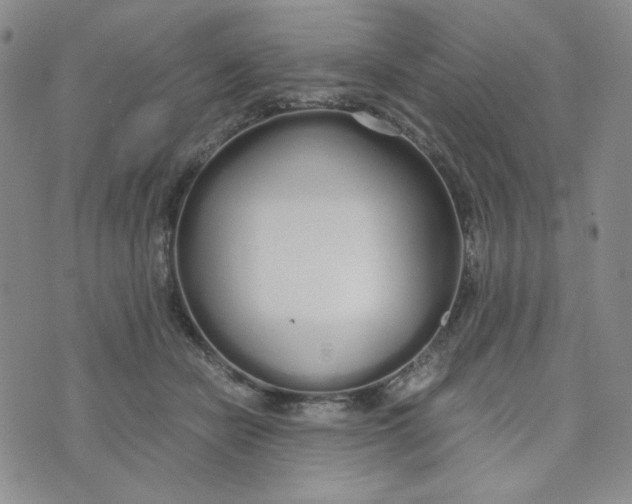 X0000076250462200610191653