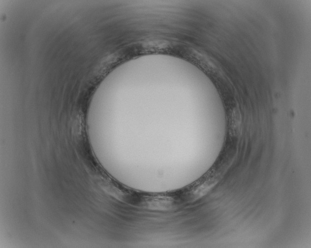 X0000076250463200610191653