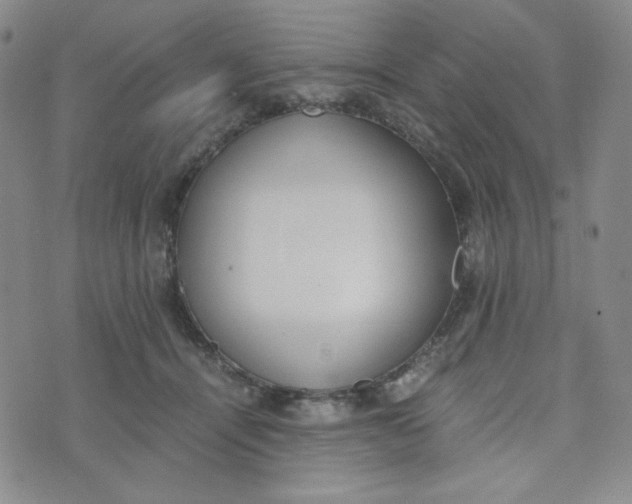 X0000076250464200610191653