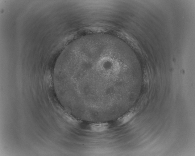 X0000076250465200610191653