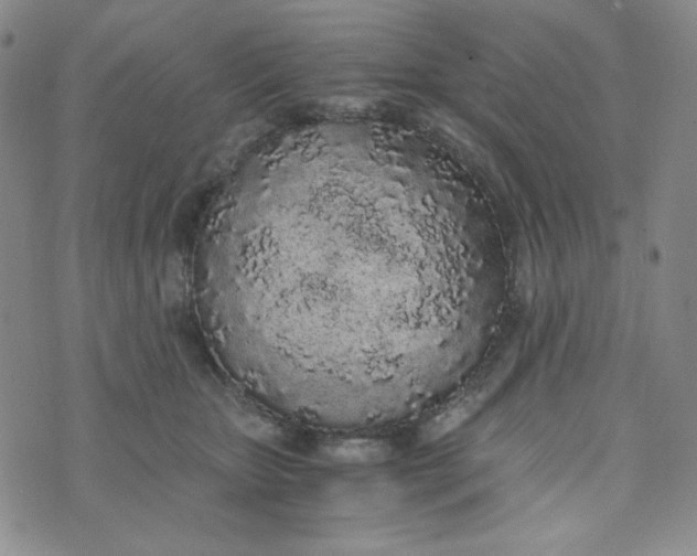 X0000076250467200610191653