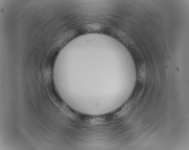 X0000076250468200610191653